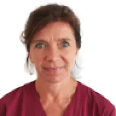 Mme Godelieve Hinoul